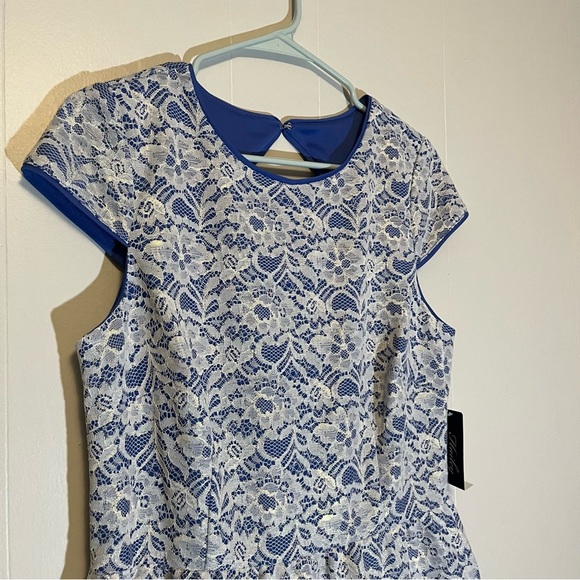 NWT Hailey Adrianna Papell Cocktail Dress Cap Sleeve Fit & Flare Keyhole Back 12 - Picture 6 of 11